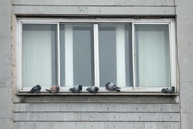 آلودگی هوای تبریز